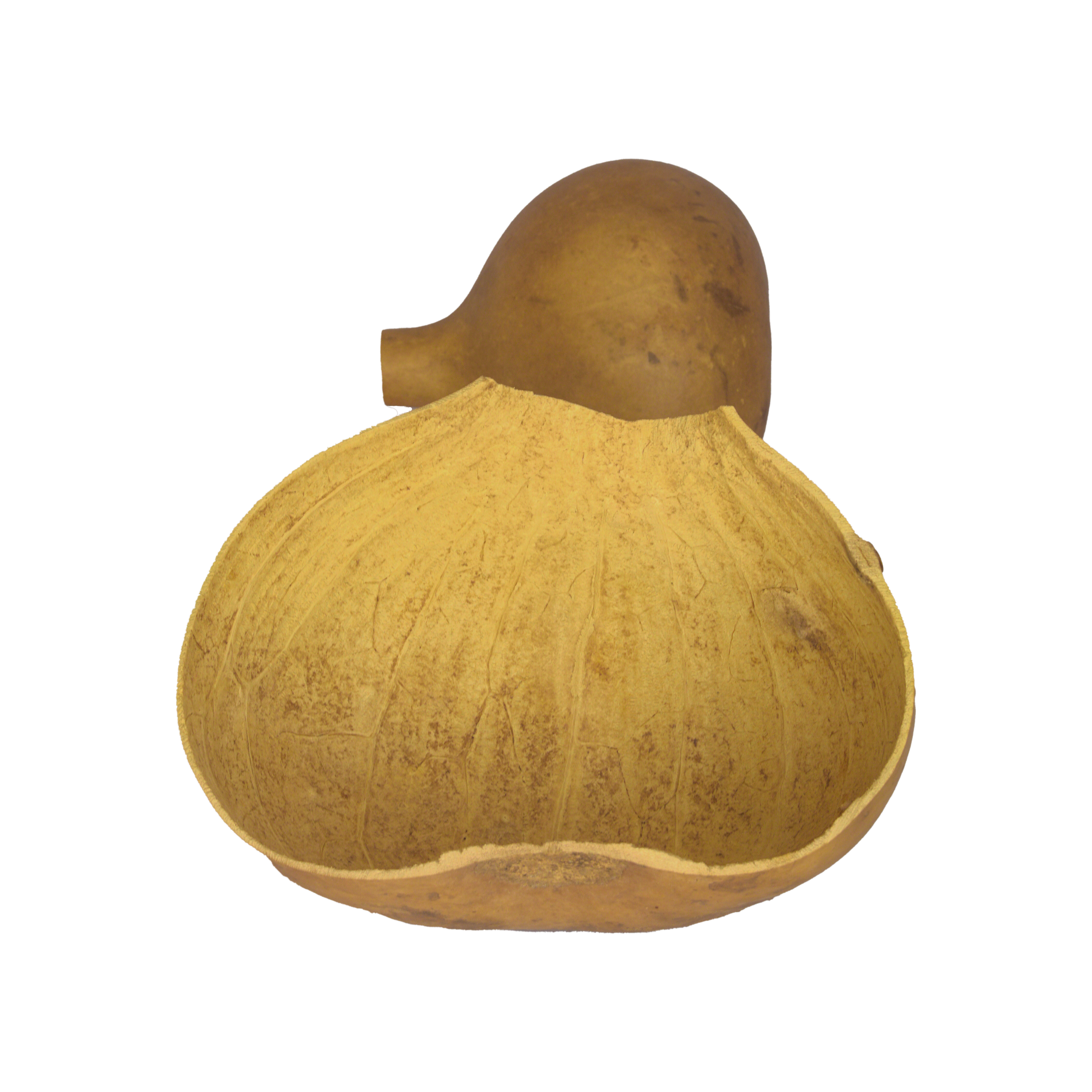 Calabash Bowls
