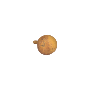 Calabash Gourds