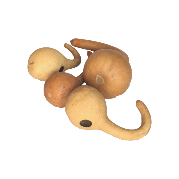 Calabash Gourds