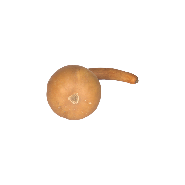 Calabash Gourds