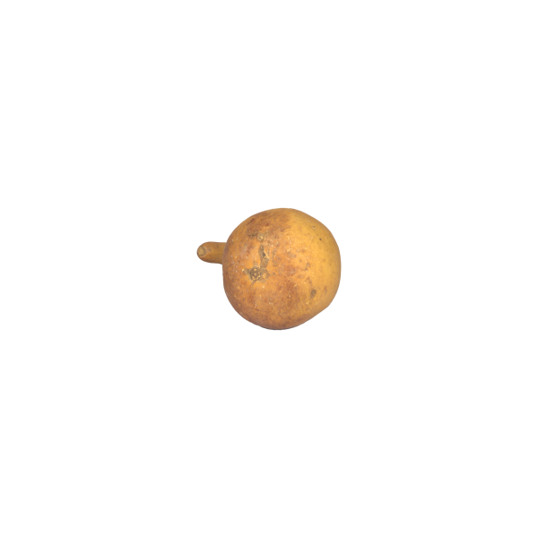 Calabash Gourds