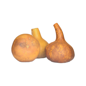 Whole Calabash