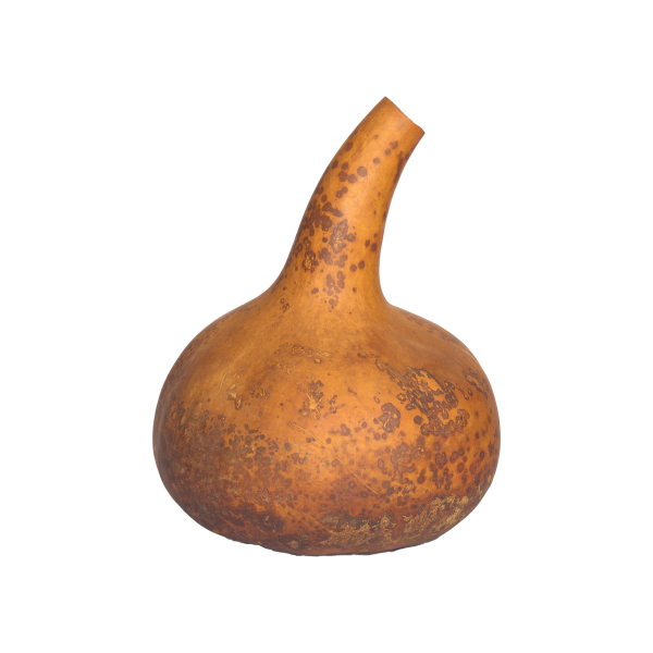 Whole Calabash