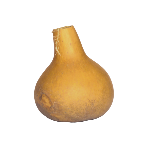 Whole Calabash
