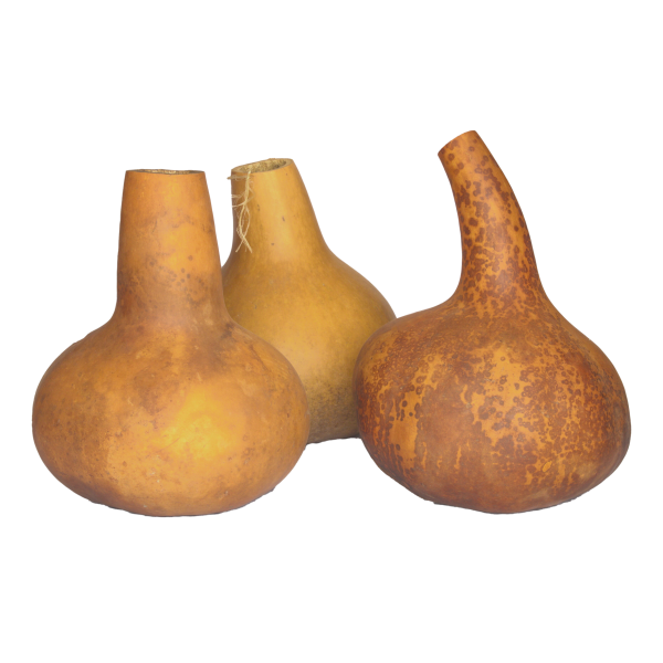 Whole Calabash
