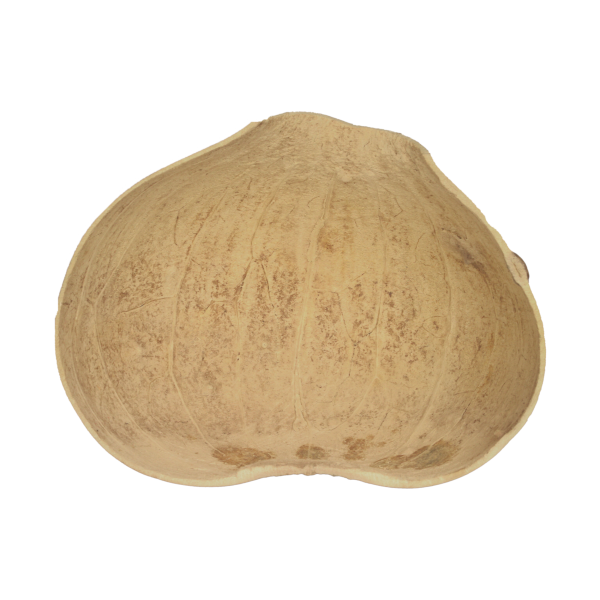 Calabash Bowls