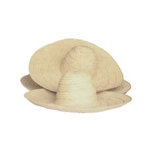 Round Hat