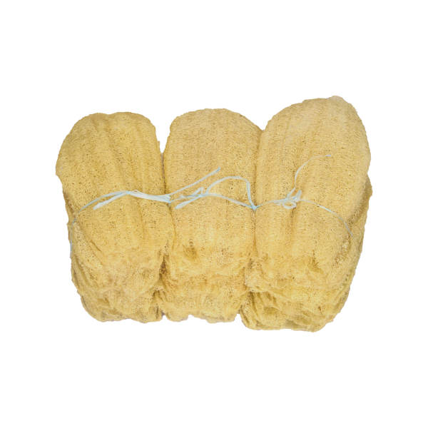 Sponge