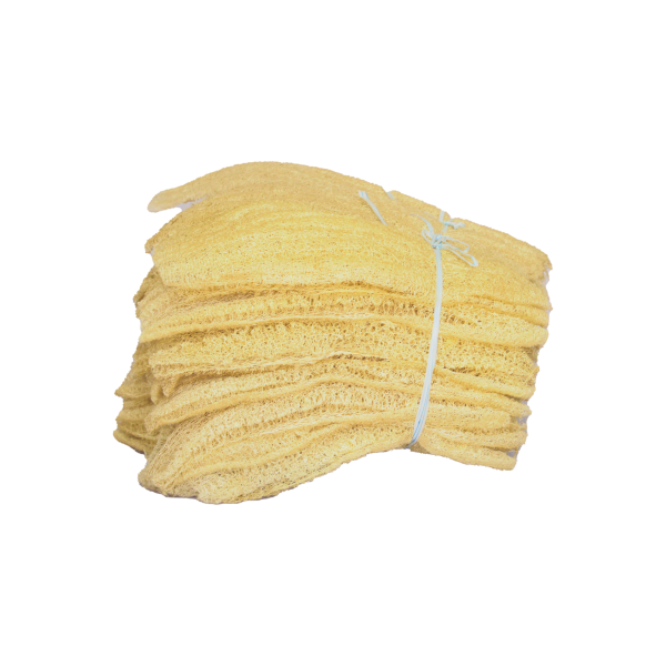 Sponge